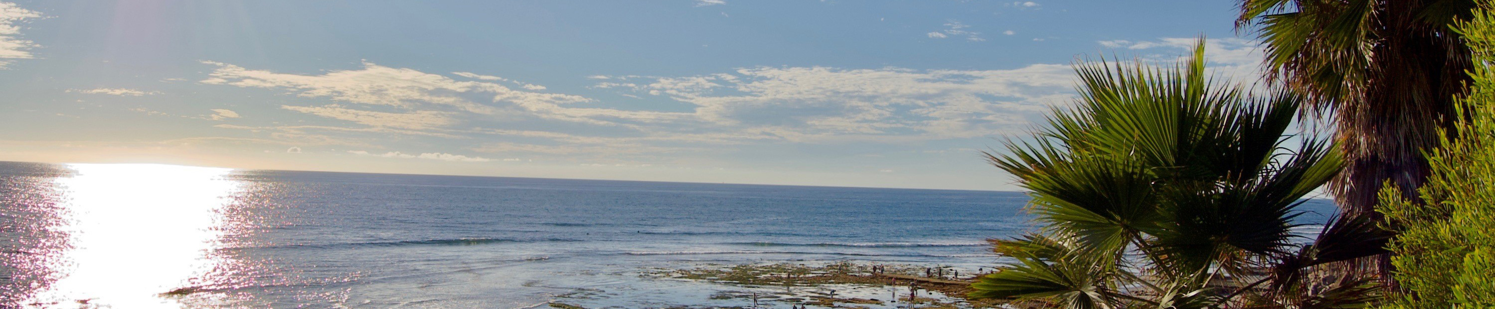 Photo-3-by-Eric-O'Brien-(Encinitas-Low-Tide)(resized).jpg